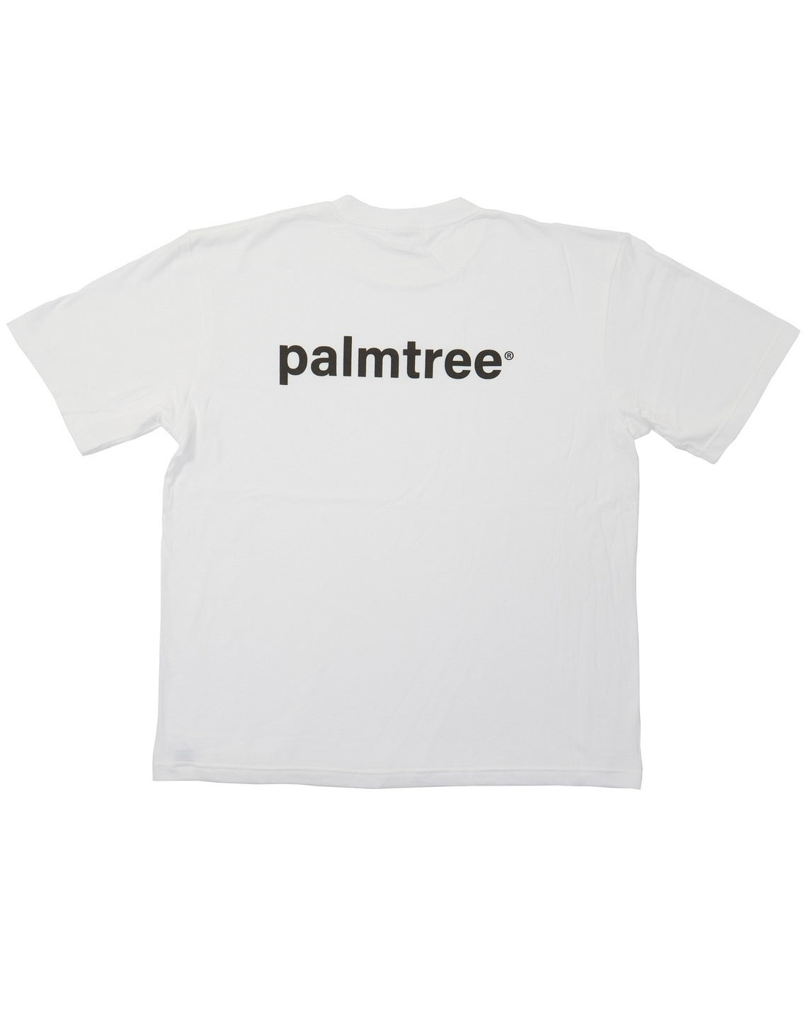Palm tree Over Size T-shirt